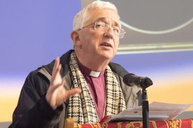 Selwyn 24 +M thumb2.jpg