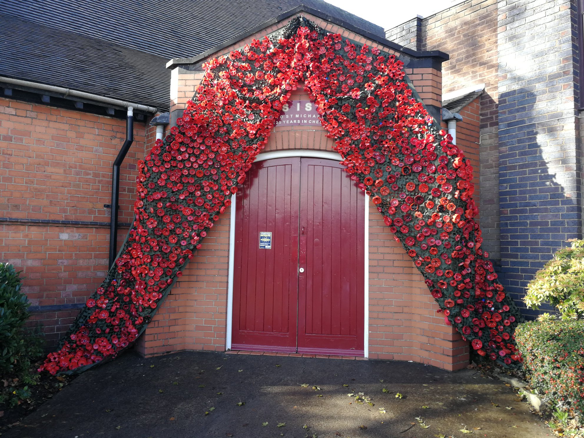 Chell poppies